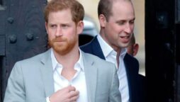 harry and william
