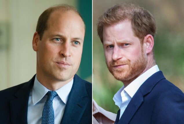 Prince William’s “final wrath” towards Prince Harry