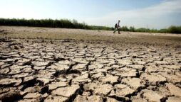 France suffers from extreme drought