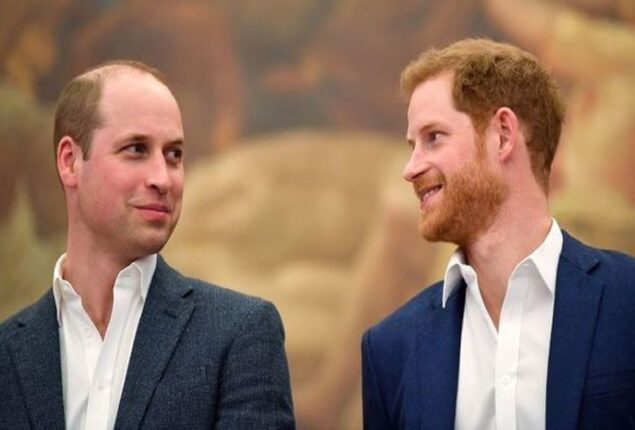 Hope for Prince William and Harry’s reconciliation is expressed