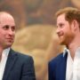 Kate Middleton, Prince William receive savage hit from Harry’s fans 