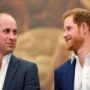 Hope for Prince William and Harry’s reconciliation is expressed