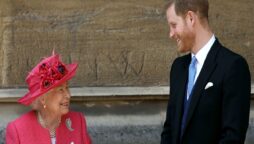 Queen Elizabeth does not prioritize UK visit