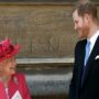 Queen Elizabeth does not prioritize UK visit