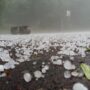 Toddler dies after being hit by a huge hailstone during a freak storm