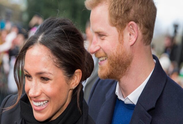 Harry and Meghan will “feel the wrath” of their “planned provocation”