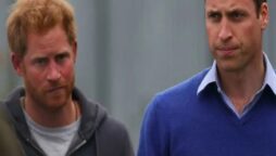 Prince William’s defense of Prince Harry as a “rebel royal” revealed