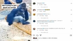 Will Smith ex-wife responds to his first non-apology Instagram post