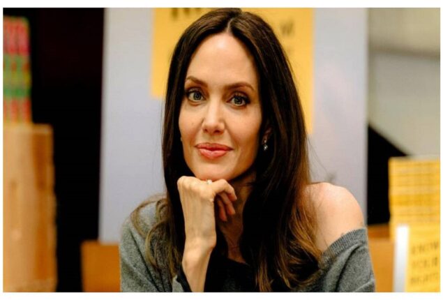 Angelina Jolie’s custody plan for Brad Pitt revealed