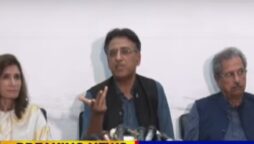 ECP an aide for PDM, government: Asad Umar