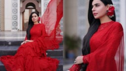 TikTok star Dolly stole hearts in red hot saree