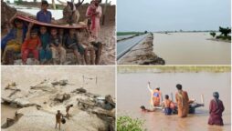 Pakistan floods: Sindh govt will use Rs15bn flood grant ‘honestly’, hopes PM Shehbaz