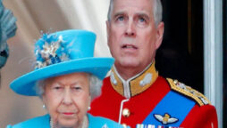 Queen took action against Prince Andrew for damaging BBC sit-in
