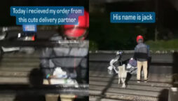 Domino’s agent delivers with pet dog on scooter