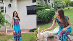 Saeeda Imtiaz
