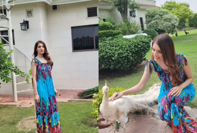 Saeeda Imtiaz leaves fans stunned with alluring pictures