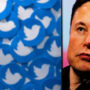 Elon Musk may profit from a Twitter whistleblower by ‘volatilizing’
