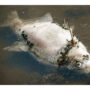Mystery surrounding fish deaths in Oder river