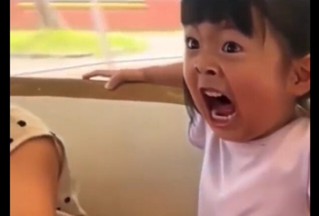This little girl’s ride on roller coaster sums up our lives since 2020