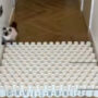 Hilarious Video: Cat jumps far, gets bamboozled