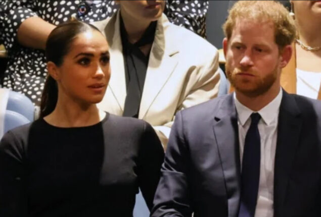 Meghan Markle asks about empty seats at Prince Harry’s UN speech 