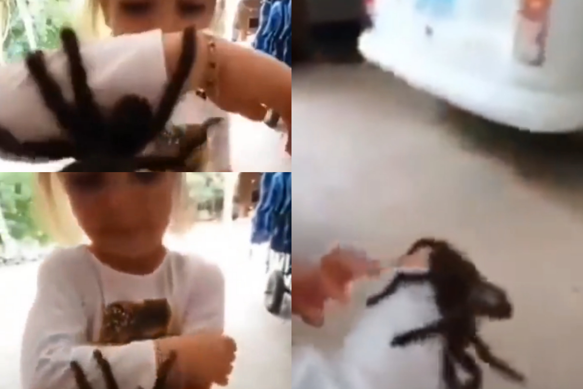 girl plays with spiders
