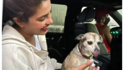 Priyanka Chopra wrote the cutest birthday note to her dog Diana