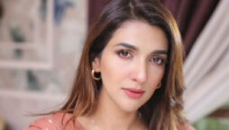 Rabab Hashim new photo makes round on social media