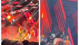 Ranveer Singh amazed crowd with his performance on Malhari