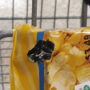 Watch: Black rat snake caught inside bag of popcorn in Virginia shop