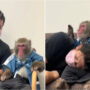 Viral Video: Man breaks down, monkey comforts him