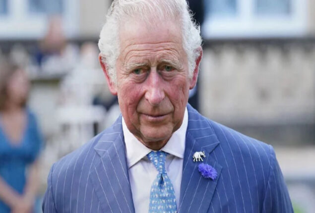 Prince Charles delivers a touching message for youth