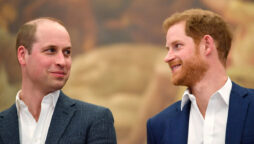 Prince William is not afraid of ‘stepping on the toes’ of Prince Harry