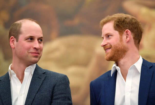 Prince William is not afraid of ‘stepping on the toes’ of Prince Harry