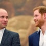 Prince William is not afraid of ‘stepping on the toes’ of Prince Harry