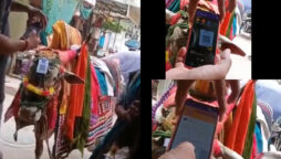 Watch: Man scans QR code on cow’s head in viral video
