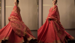 Hania Aamir