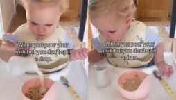 Toddler amazes herself after pouring milk without spilling it