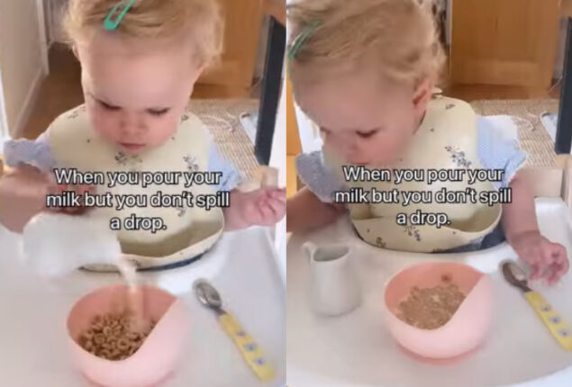 toddler