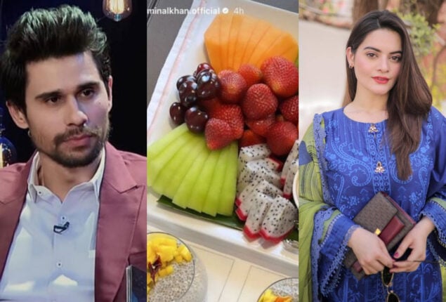 Tabish Hashmi faces criticism for trolling Minal Khan