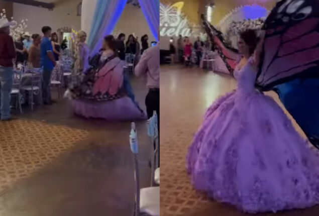 Viral Video: Girl transforms into a butterfly