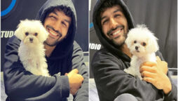 Kartik Aaryan posts a sweet video with his dog Katori