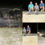 Read viral: Fisheries, and Parks caught 10-foot-2-inch Alligator