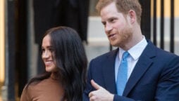 Prince Harry and Meghan Markle are ‘threats’ to Firm