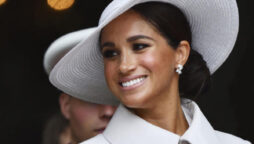 Meghan Markle ‘classic spin job’ of the century was exposed