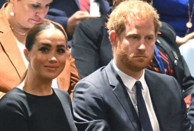 Prince Harry and Meghan unhappy with the Lionesses victory?