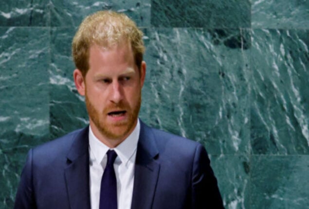 Prince Harry may ‘wind down’ his memoir after’ spiking his guns