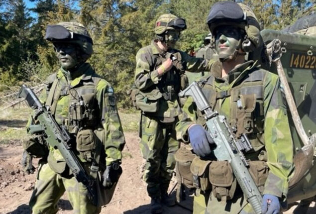 Ukraine will send soldiers to Sweden for training