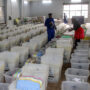 Kenya election of 2022: Race to become president of East Africa’s powerhouse