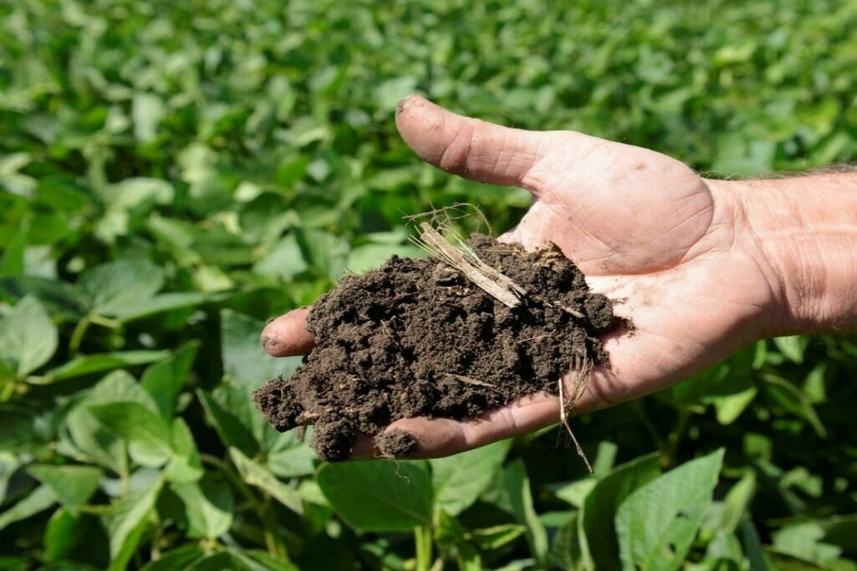 Urea sales expected to drop